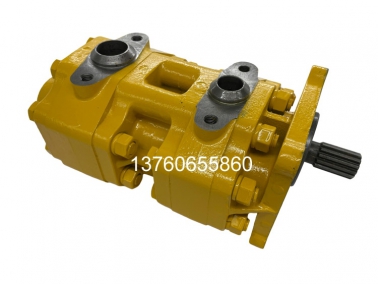 SD16雙（shuāng）聯（lián）泵